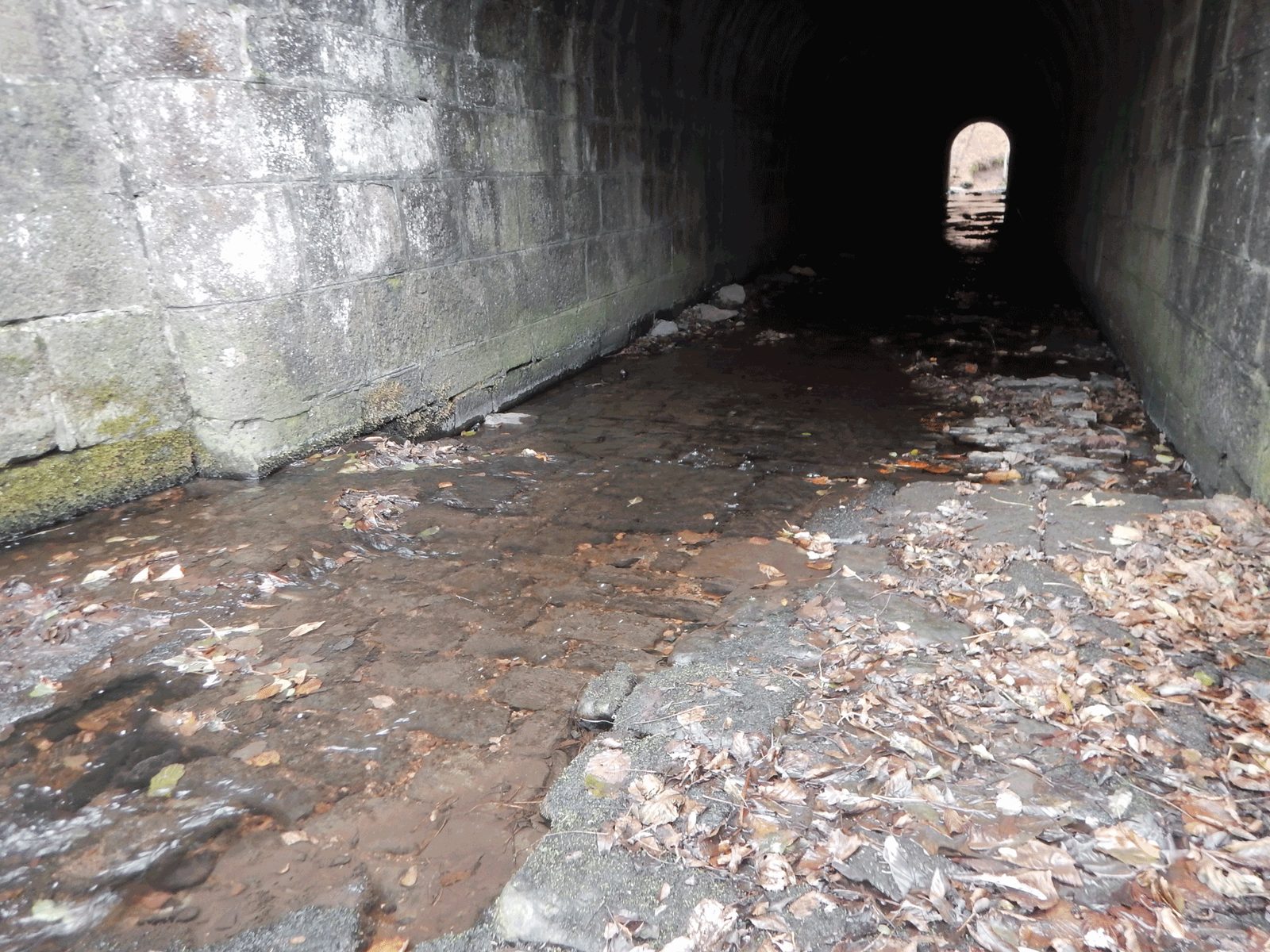 Blick durch einen gemauerten Durchlass mit Wasser und Laub auf der Sohle