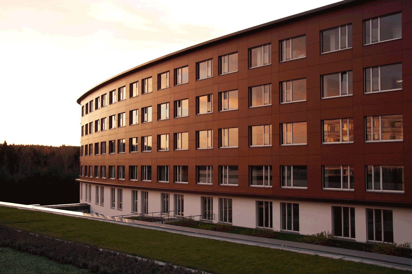 Projekt-Wald-Klinikum-Gera-2